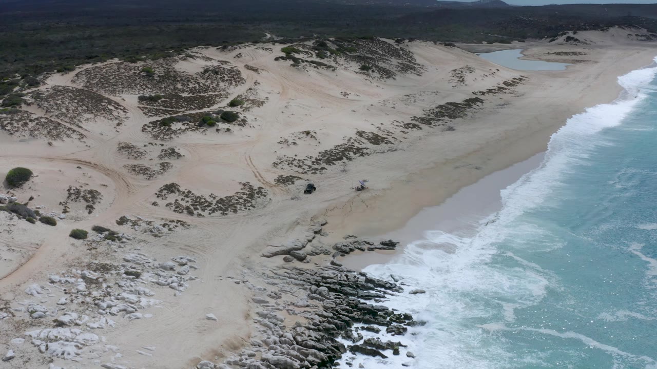 High aerial frame of the Los Cabos shoreline where white waves touch the sand, with scrub-covered dunes behind the beach and no visible people.