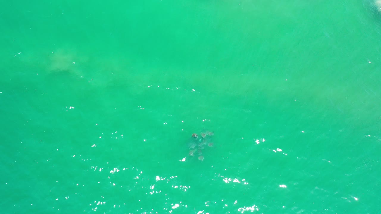 Turquoise water with sun sparkles and a small dark floating object.