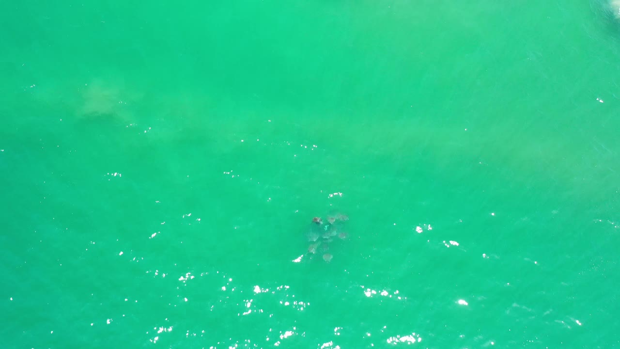 Green ocean water in Los Cabos, Mexico, fills the frame with bright reflection points and a small dark floating object left of center, no visible people.