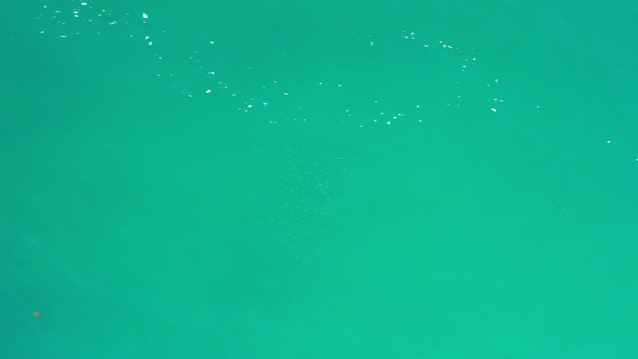 Turquoise blue green field with scattered white points