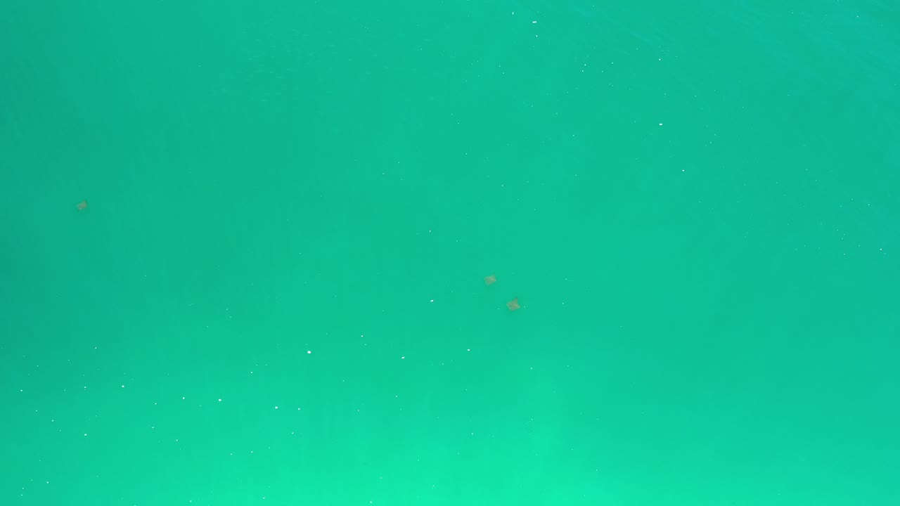 Green underwater view with suspended particles