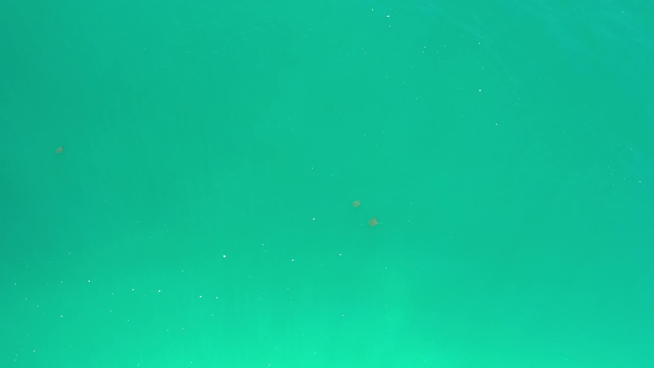 Green underwater view in Los Cabos, Mexico with a darker band across the lower half, scattered specks, and no visible people.