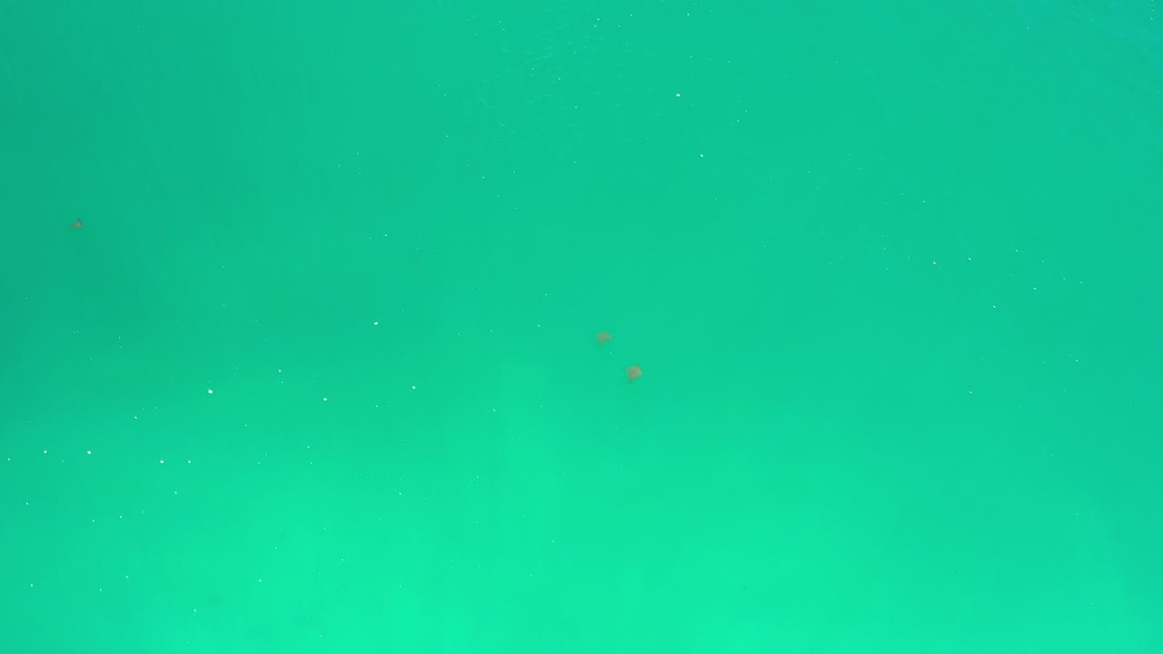 At 0:00, a full-frame teal and aqua color field fills the screen in the Los Cabos Mexico 2020 clip, with faint specks and no visible people.