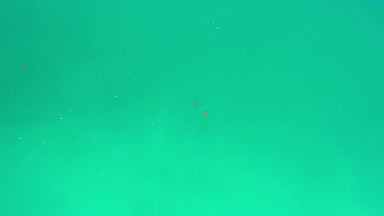 Aqua teal color field with faint texture specks.