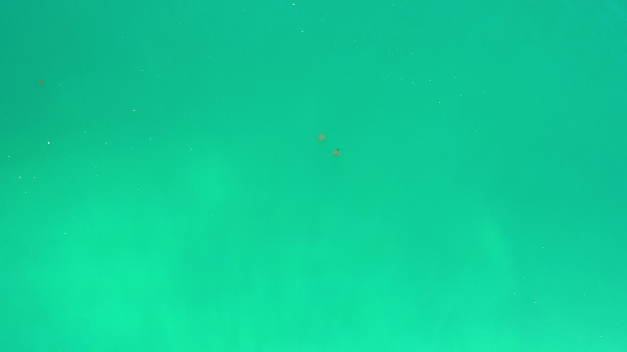 Green underwater sea with faint particles and no visible people.