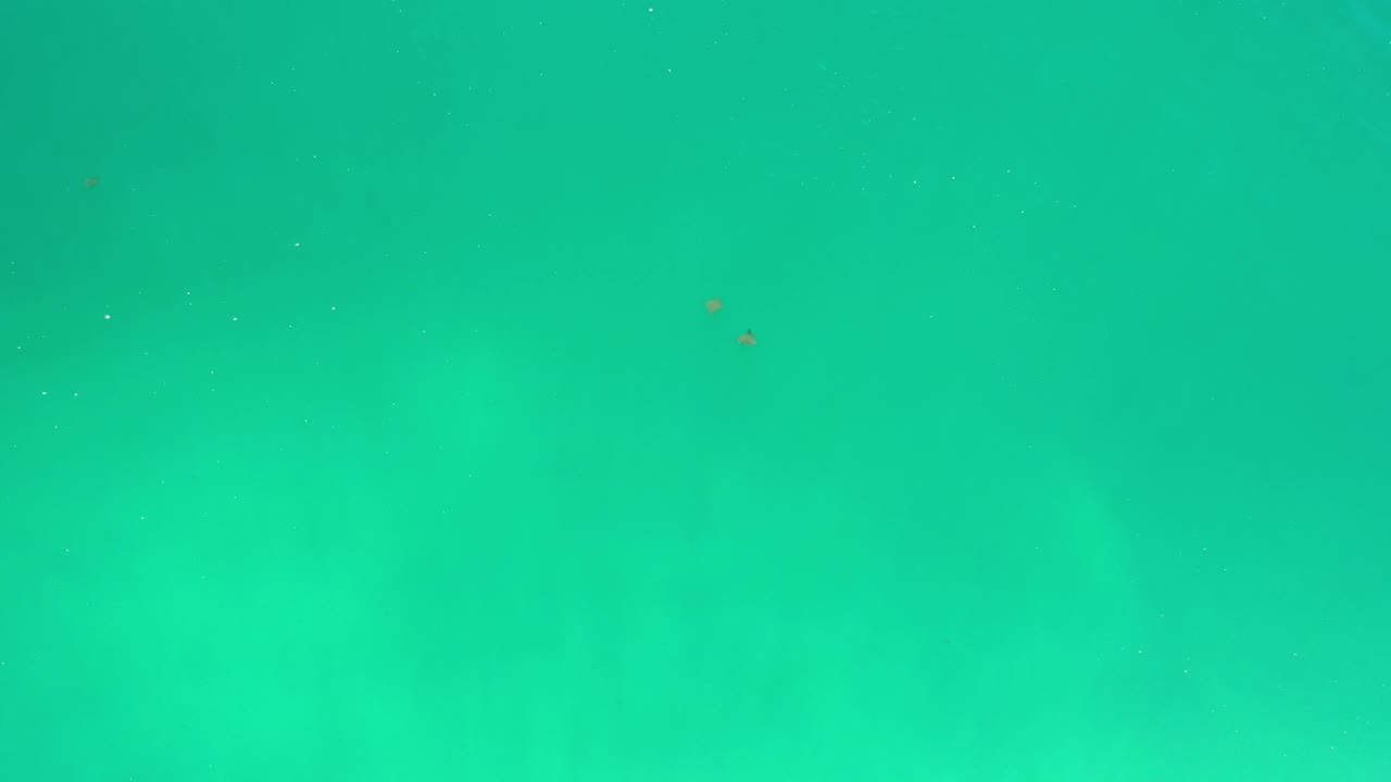 Green underwater frame from Los Cabos, Mexico, with a slightly brighter band of water and tiny specks suspended in the scene, with no visible people.