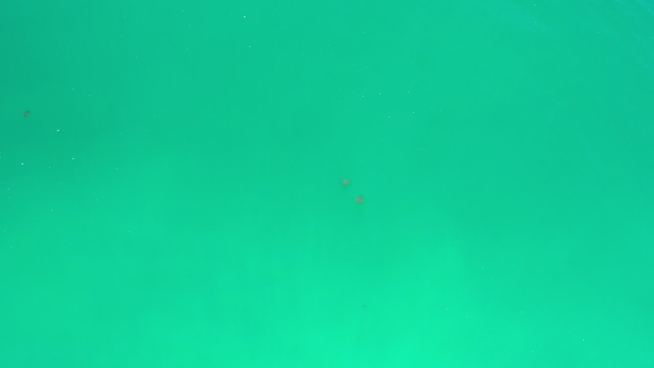Overhead-looking frame of turquoise ocean water near Los Cabos, Mexico, with soft darker areas under the surface and no visible people.