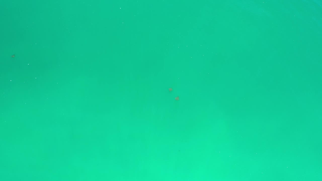 Green-blue ocean surface near Los Cabos, Mexico, with muted underwater shadow shapes and no visible people.
