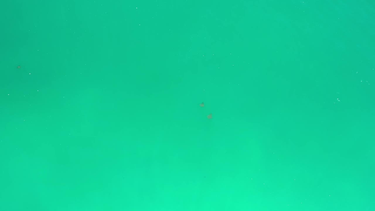 Emerald water with small pale surface marks