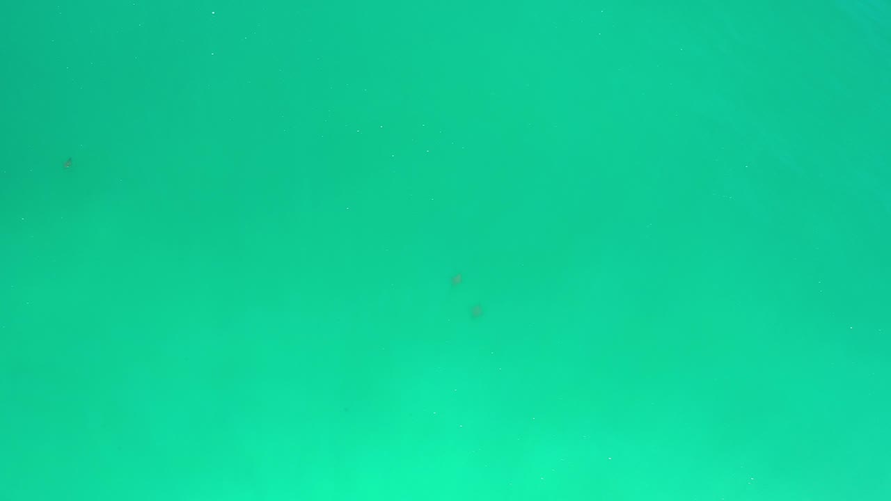 Open blue green water with small dark specks.