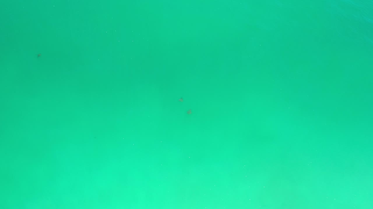 Green ocean surface with soft light variation.
