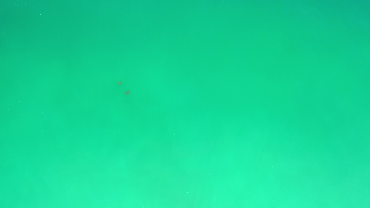 Overhead view of turquoise Los Cabos sea at the start of the clip, with faint wave texture, tiny fish specks, and no visible people.