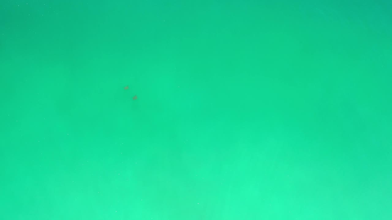 Overhead Los Cabos water frame with green-blue color variation, small fish marks in the open sea, and no visible people.