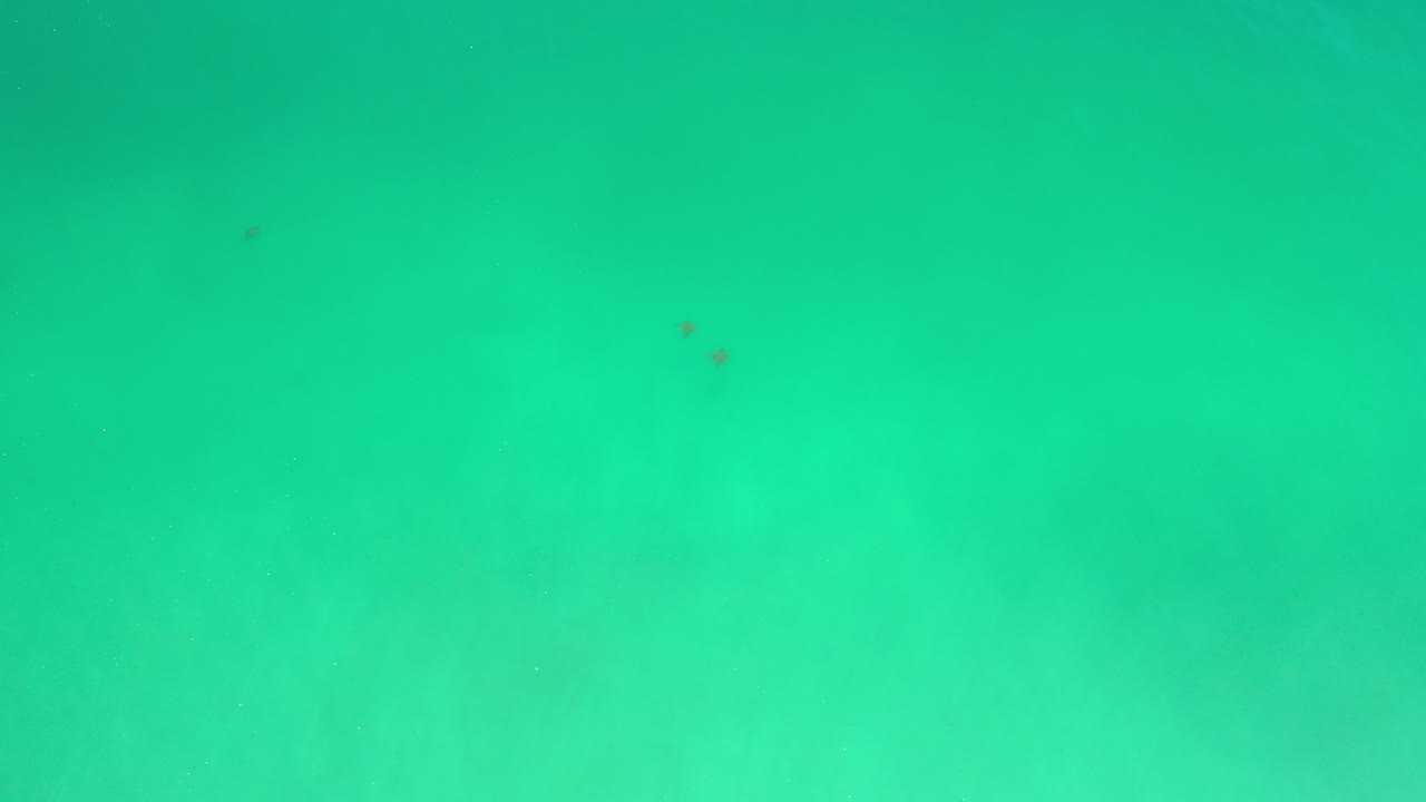 Close-up turquoise sea water in Los Cabos, Mexico, with faint underwater texture and no visible people.