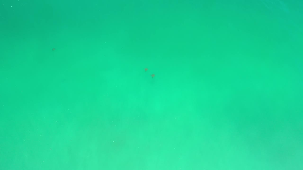 Clear green-blue sea water in Los Cabos, Mexico, with soft light variation across the surface and no visible people.