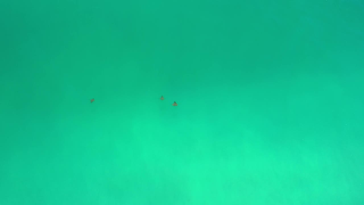 Opening frame from Los Cabos, Mexico, showing a turquoise fluid-like field with a small cluster of dark specks near the upper left and no visible people.