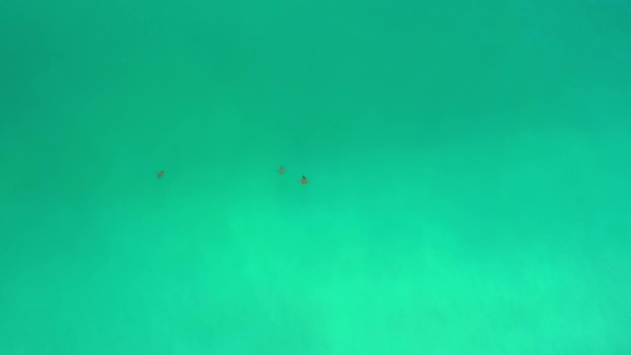 Second frame from Los Cabos, Mexico, with smooth green-blue color, faint cloudy bands, and several tiny dark particles near the top edge, with no visible people.