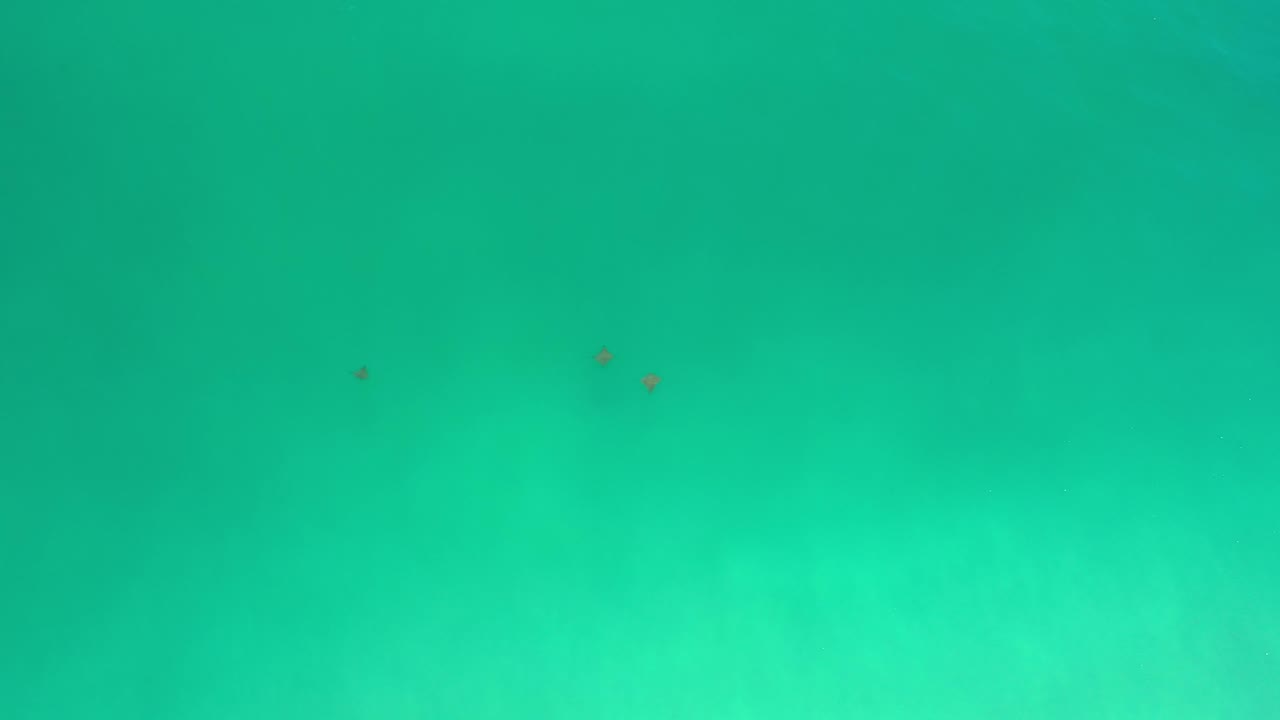 Turquoise abstract field with scattered dark flecks