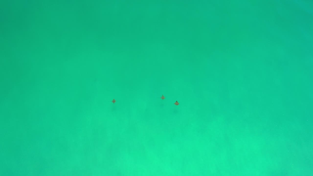 Overhead view of turquoise ocean in Los Cabos, Mexico, with three tiny dark dots near the upper part of the frame and no visible people.