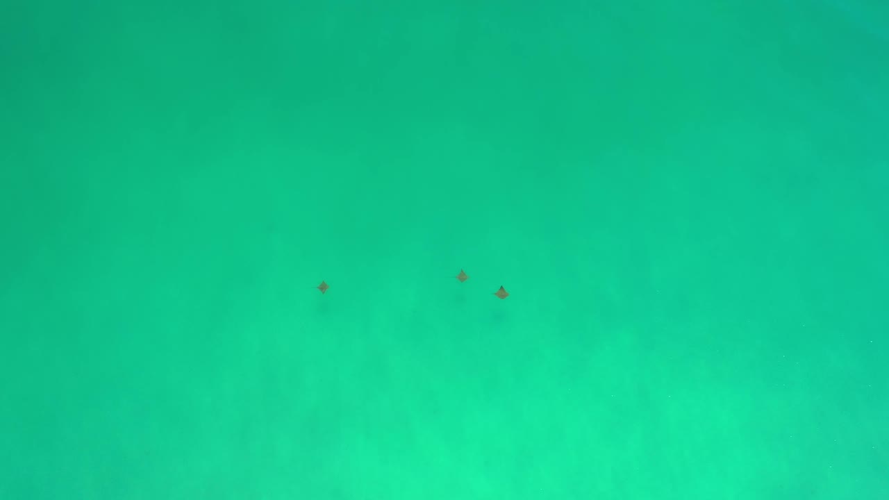 A later overhead frame shows the Los Cabos ocean as a soft blue-green field, with three tiny dark marks spaced across the upper area and no visible people.