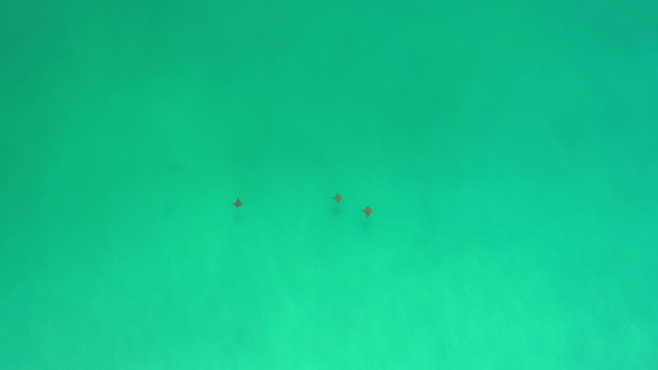 Open turquoise water with a few tiny dark dots near the upper-right area.