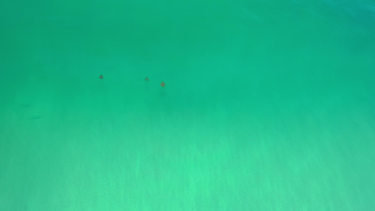 Overhead view of green sea water in Los Cabos, Mexico, with pale surf texture across the lower half and no visible people.
