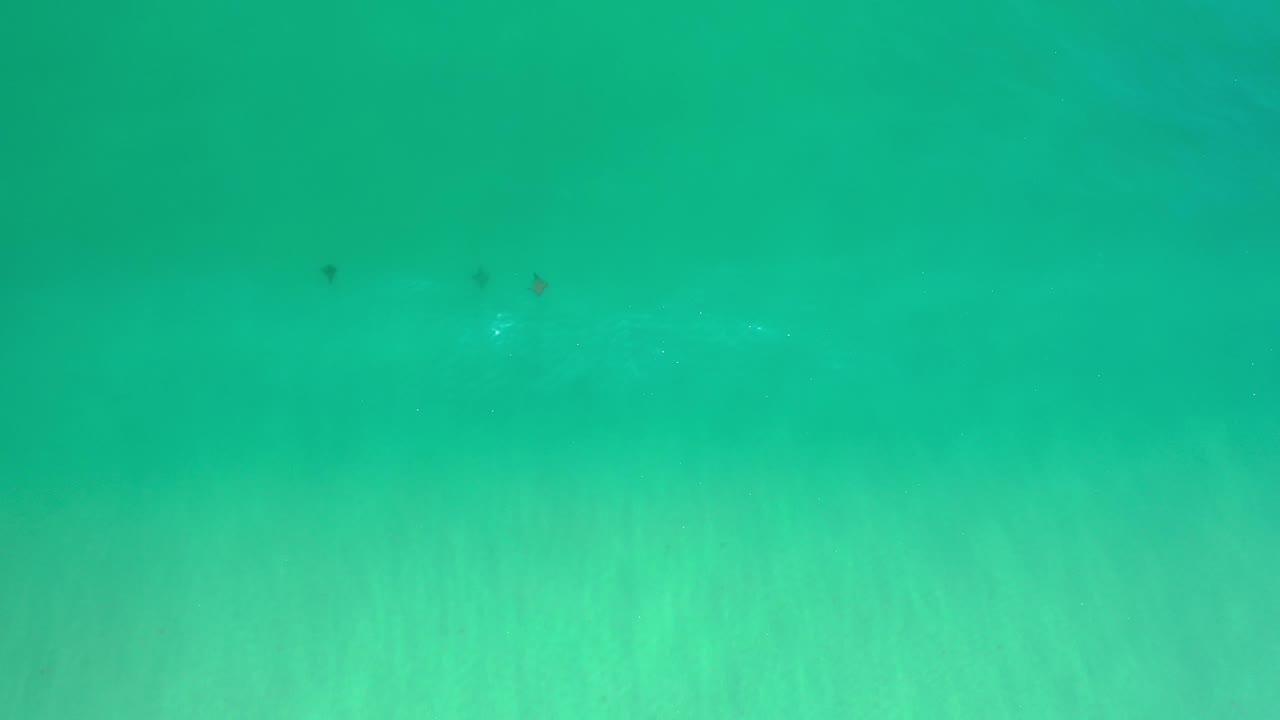 Green water with subtle wave haze and distant specks