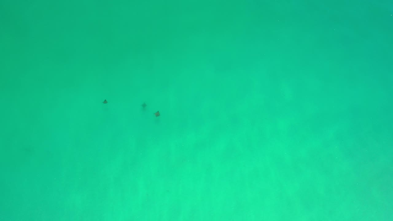 Overhead view of blue-green water in Los Cabos with three small dark floating objects near the upper left and no visible people.
