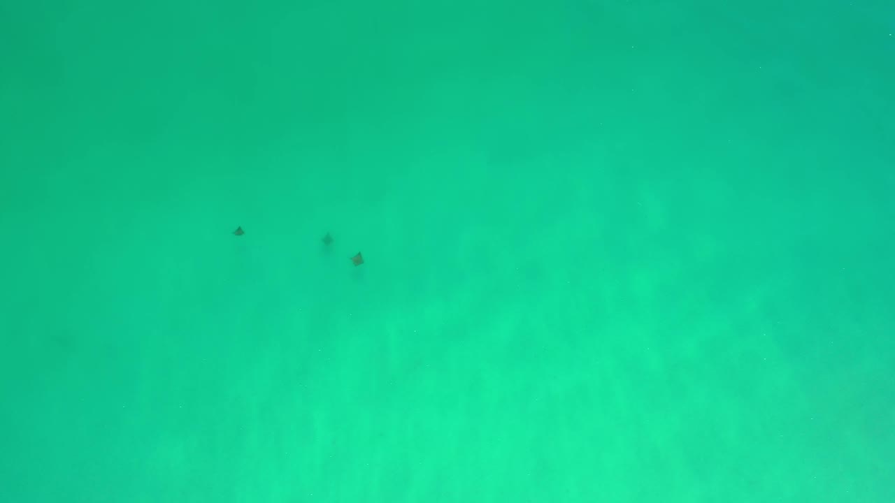 Blue-green Los Cabos water fills the frame while three small dark floating objects sit near the top center, with no visible people.