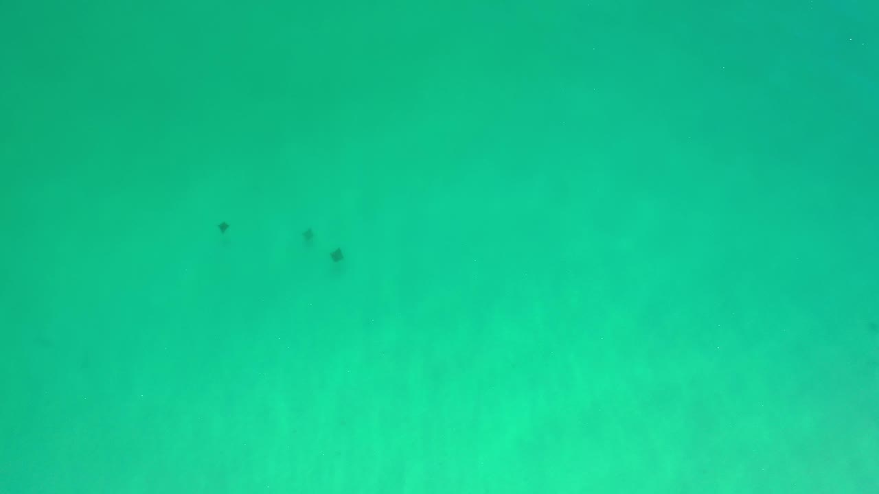 Turquoise water with three small dark objects near the upper center-right.