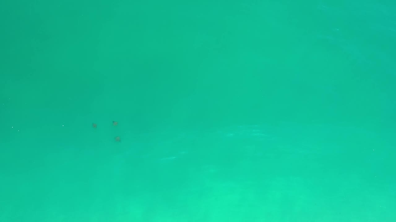 Overhead Los Cabos ocean frame with the three dark objects closer to the center, surrounded by turquoise water and faint wave variation, with no visible people.