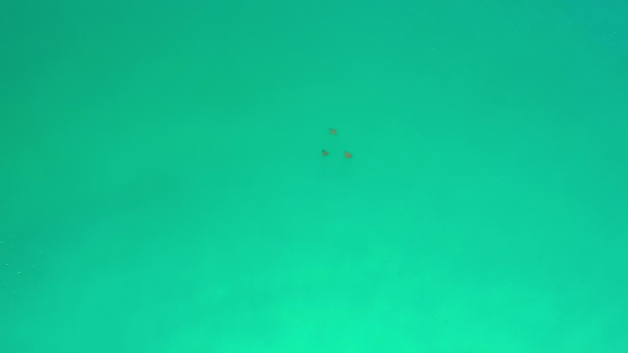 Bright turquoise pool water with faint mottling and tiny specks.