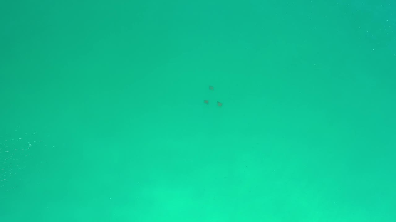 Turquoise underwater view in Los Cabos, Mexico with the soft bottom visible through haze and no visible people or structures.