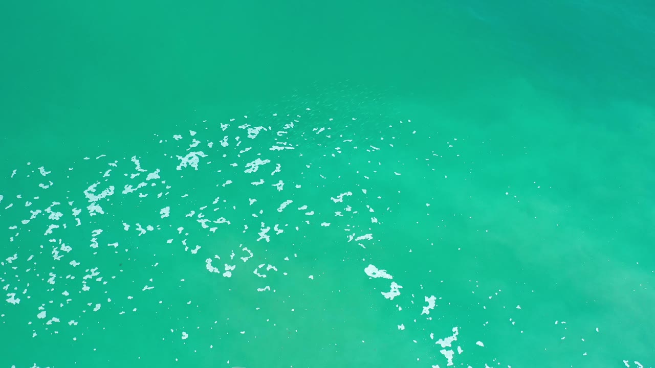 Turquoise ocean surface with bright foam streaks.