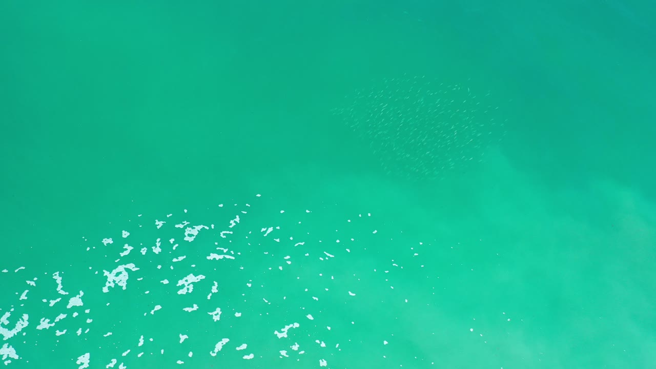 Turquoise seawater with white ripples near the lower edge.