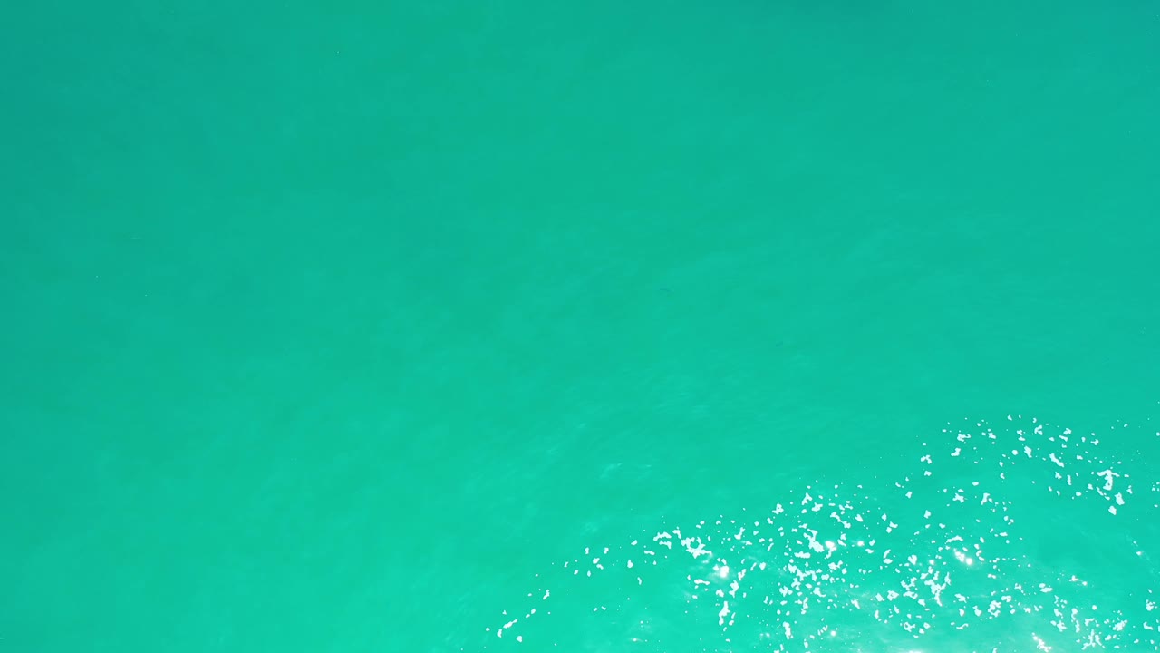 Green water surface with white bubbles near the lower edge