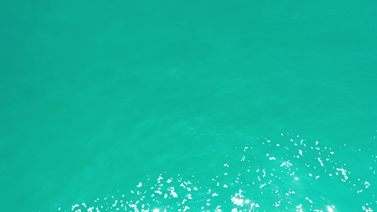Overhead Los Cabos water surface with a brighter patch of white foam spread along the lower edge and open blue-green water above, no visible people.