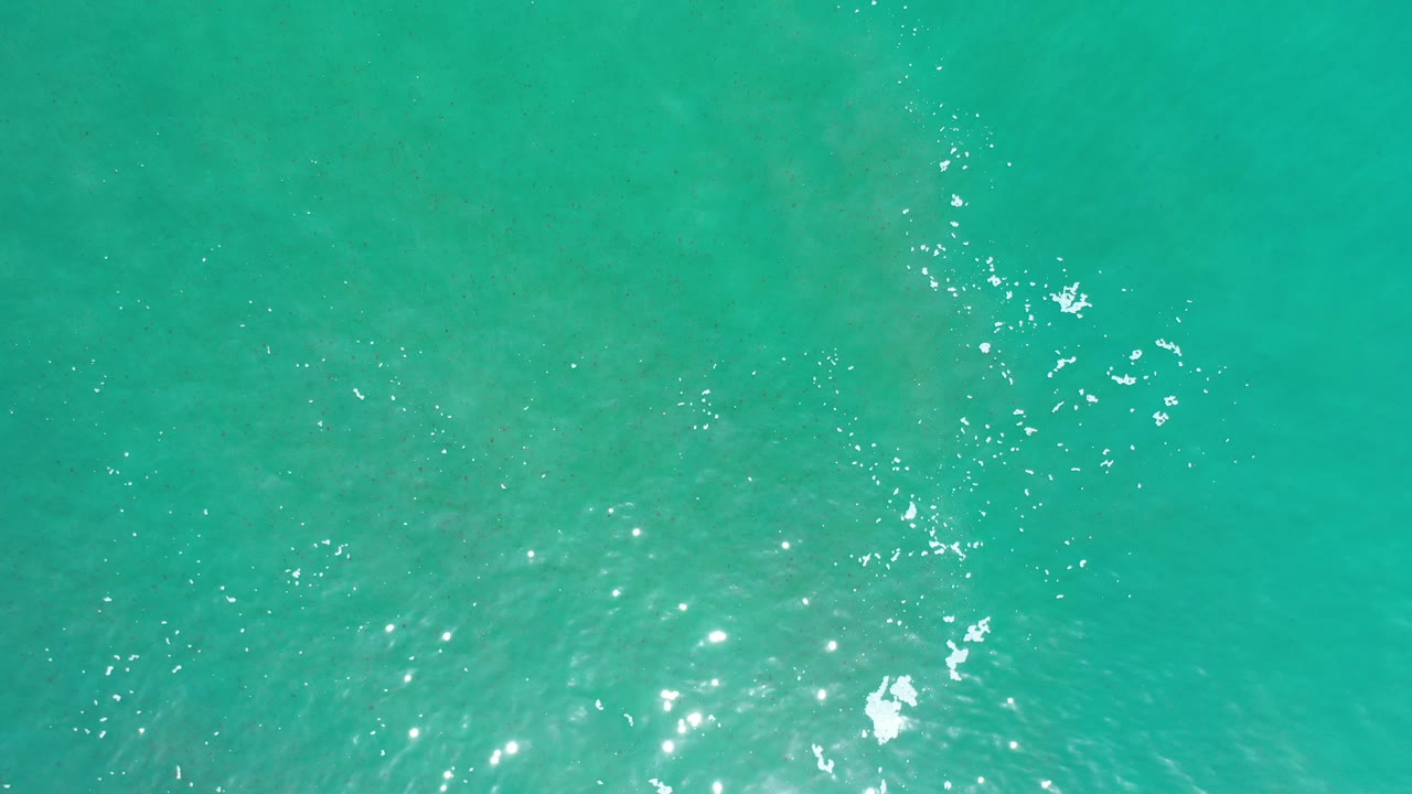 Turquoise ocean surface with sun glints and small foam flecks.