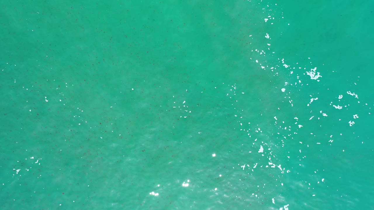 A straight-down Los Cabos water frame shows green-blue sea, small ripples, and a cluster of bright reflections slightly right of center, with no visible people.