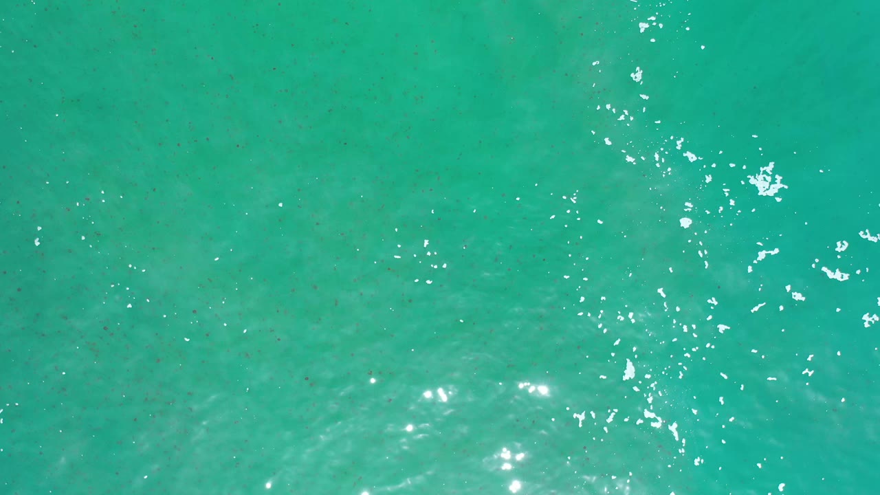 Overhead Los Cabos water frame with turquoise color, a loose cluster of white reflections near center right, and no visible people.