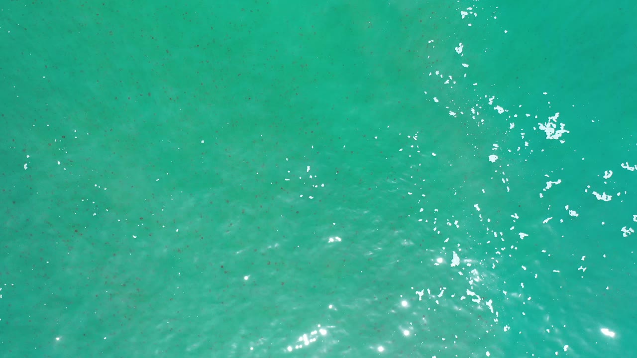 Bright turquoise ocean water with scattered highlights on ripples
