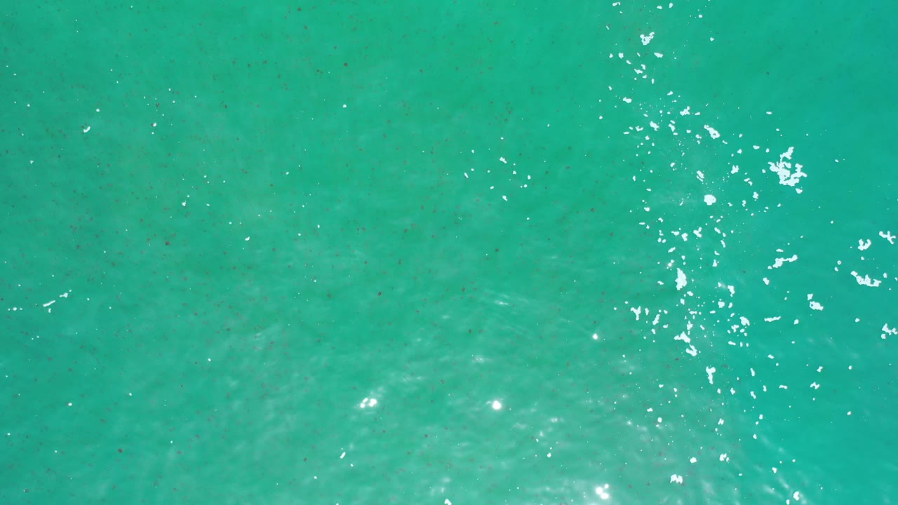Top-down view of greenish blue water in Los Cabos, Mexico, with scattered white sun glints near the upper right and no visible people.