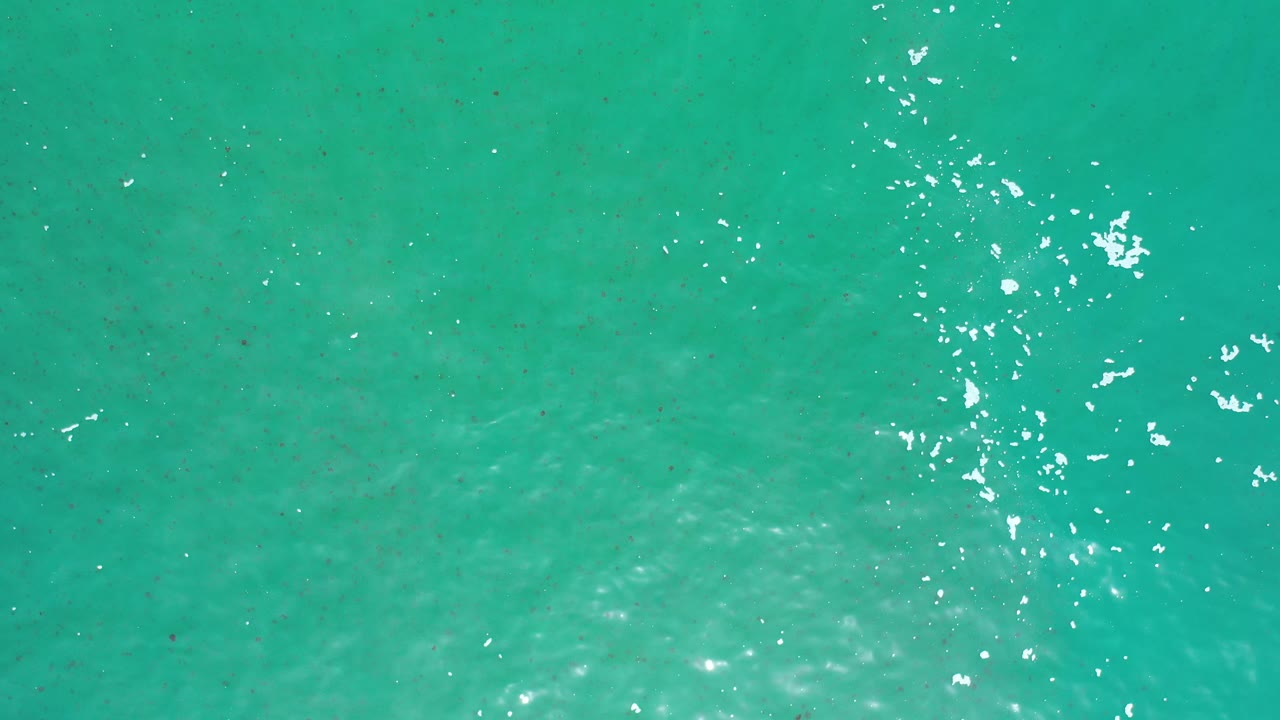 Open green blue water with soft ripples and sun sparkle.