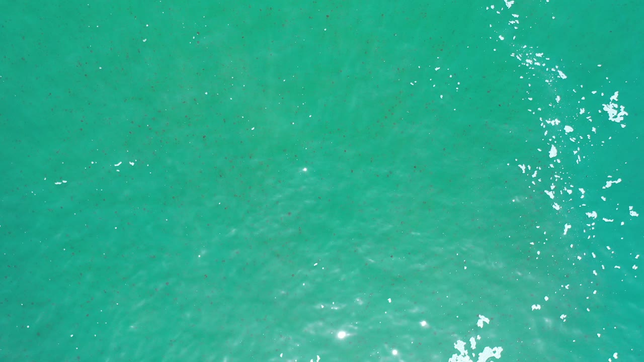 Green-blue water with bright sun reflections