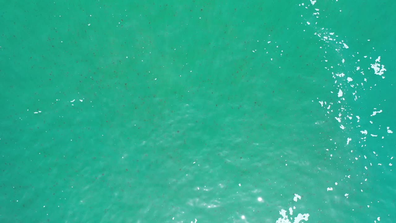 Overhead Los Cabos water frame with turquoise-green surface texture, a cluster of white reflections near the upper right, and no visible people.