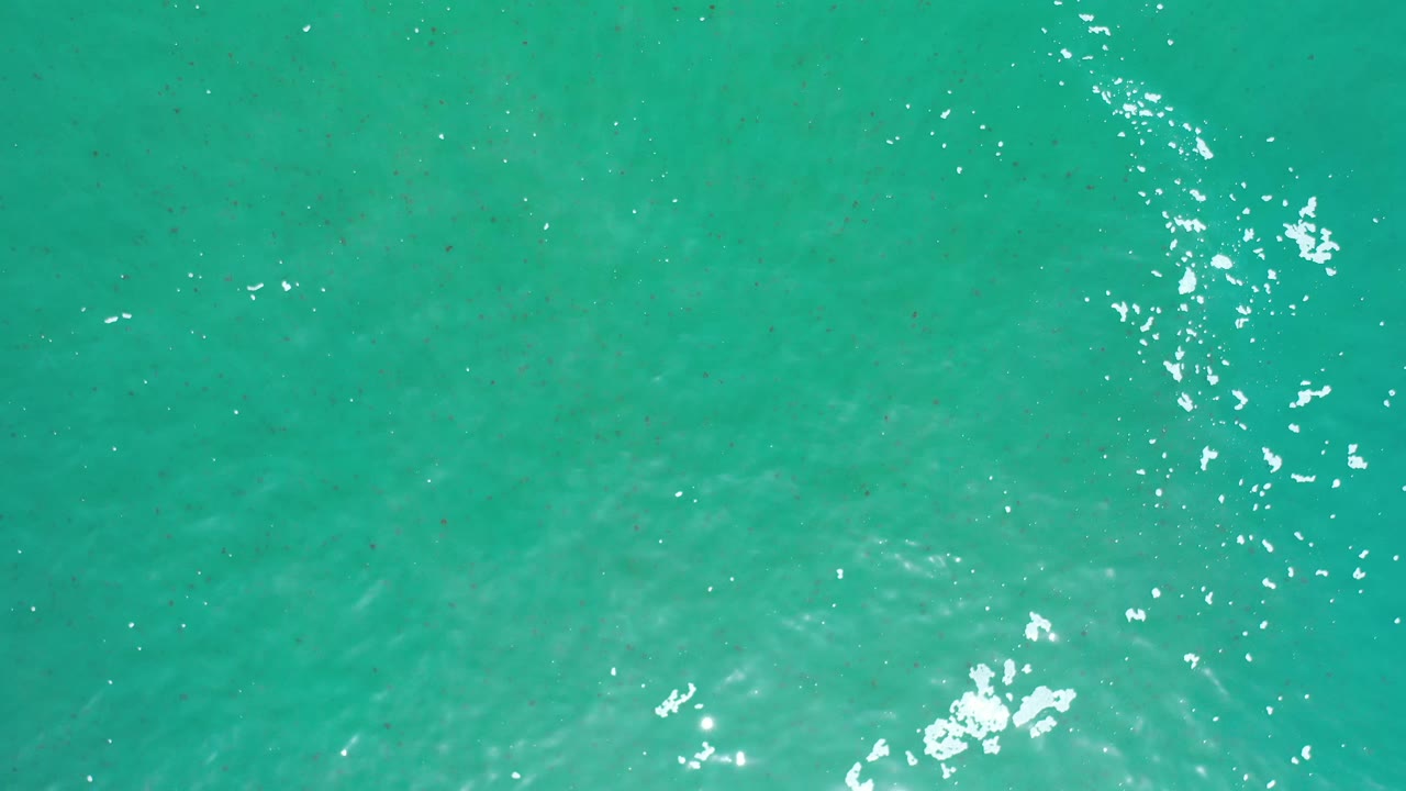 Green-blue Los Cabos ocean surface fills the frame, with a cluster of white reflected highlights drifting near the top right and no visible people.