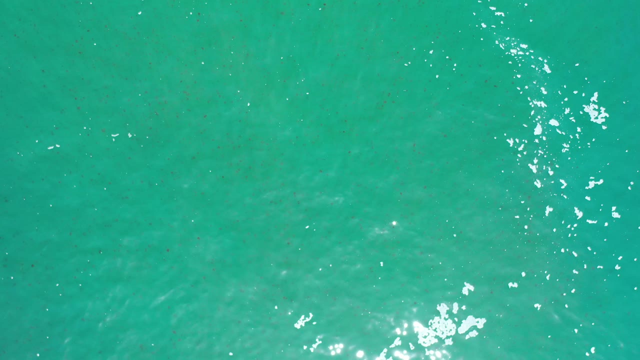 Open turquoise water with ripples and small white highlights.