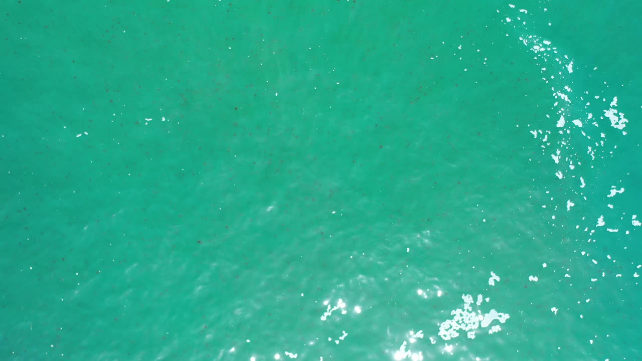 Overhead Los Cabos ocean frame with green-blue water, soft ripples, a vertical line of sun glare, and no visible people.