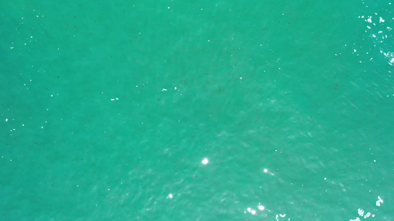 Turquoise ocean surface with sun sparkles