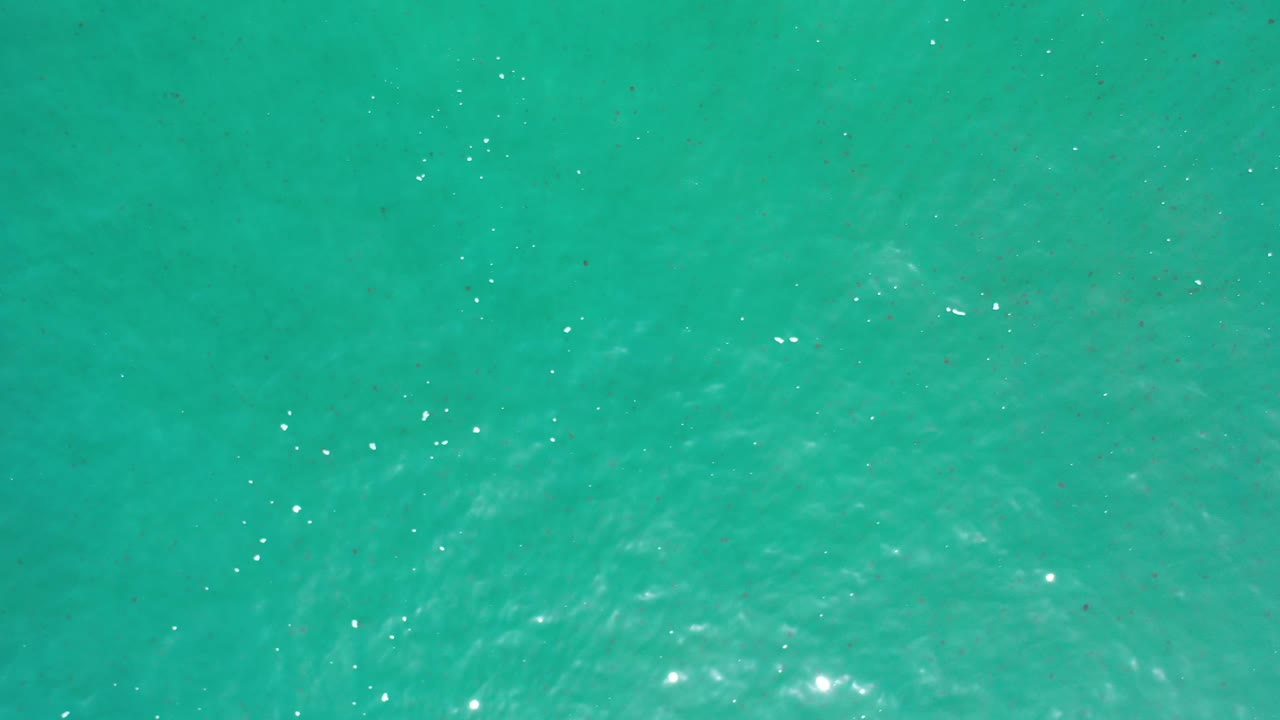 Turquoise sea surface with bright reflection specks